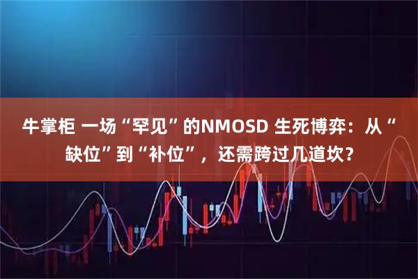 牛掌柜 一场“罕见”的NMOSD 生死博弈：从“缺位”到“补位”，还需跨过几道坎？