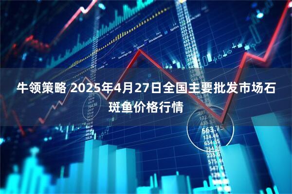 牛领策略 2025年4月27日全国主要批发市场石斑鱼价格行情