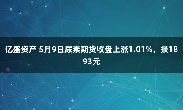 亿盛资产 5月9日尿素期货收盘上涨1.01%，报1893元